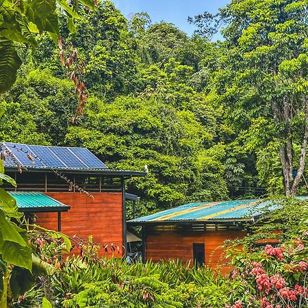 Selva Madre Eco-Sanctuary Aparthotel Cahuita Kültér fotó