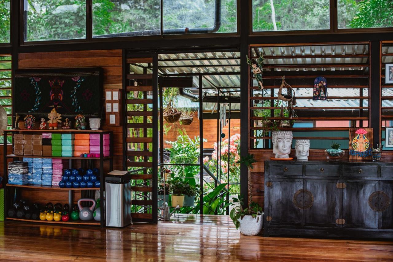Selva Madre Eco-Sanctuary Aparthotel Cahuita Kültér fotó