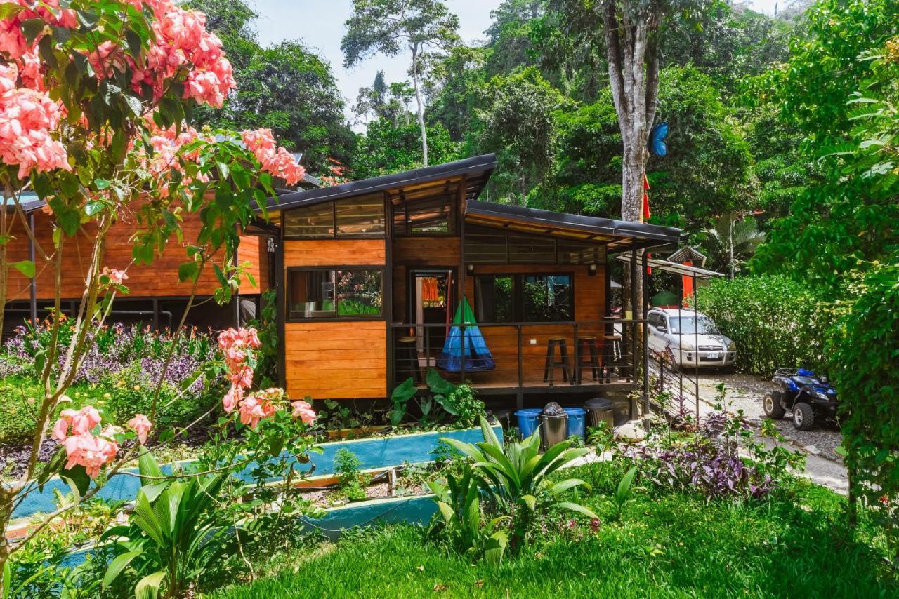 Selva Madre Eco-Sanctuary Aparthotel Cahuita Kültér fotó