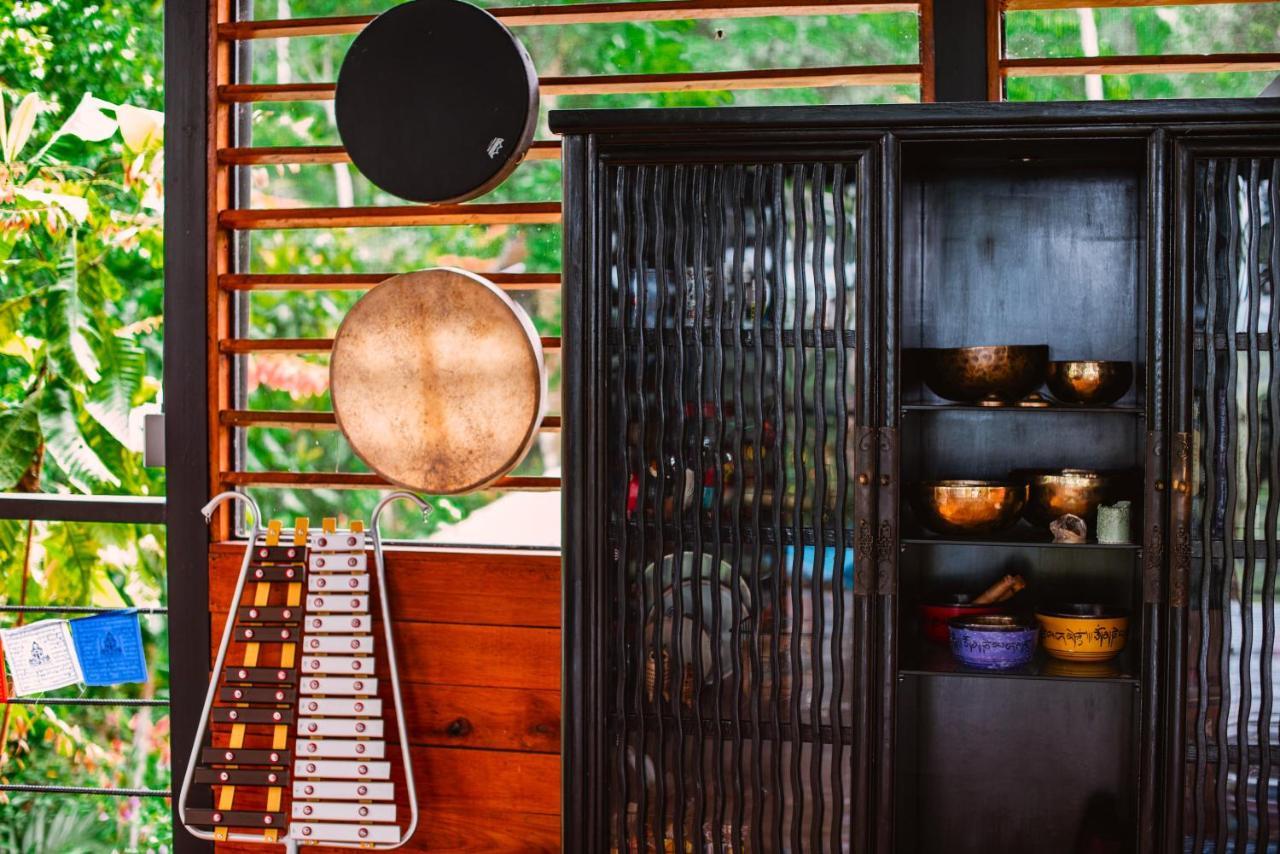 Selva Madre Eco-Sanctuary Aparthotel Cahuita Kültér fotó