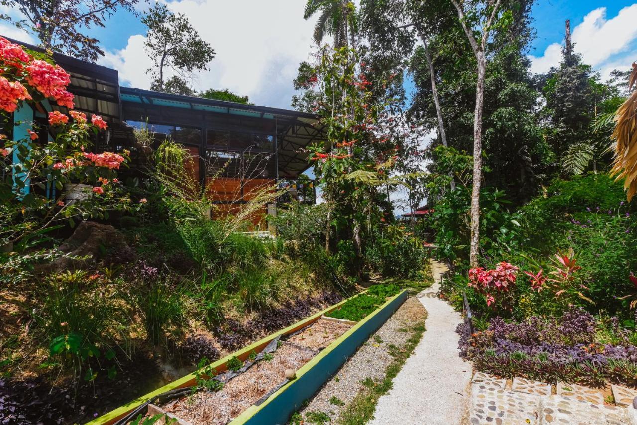 Selva Madre Eco-Sanctuary Aparthotel Cahuita Kültér fotó