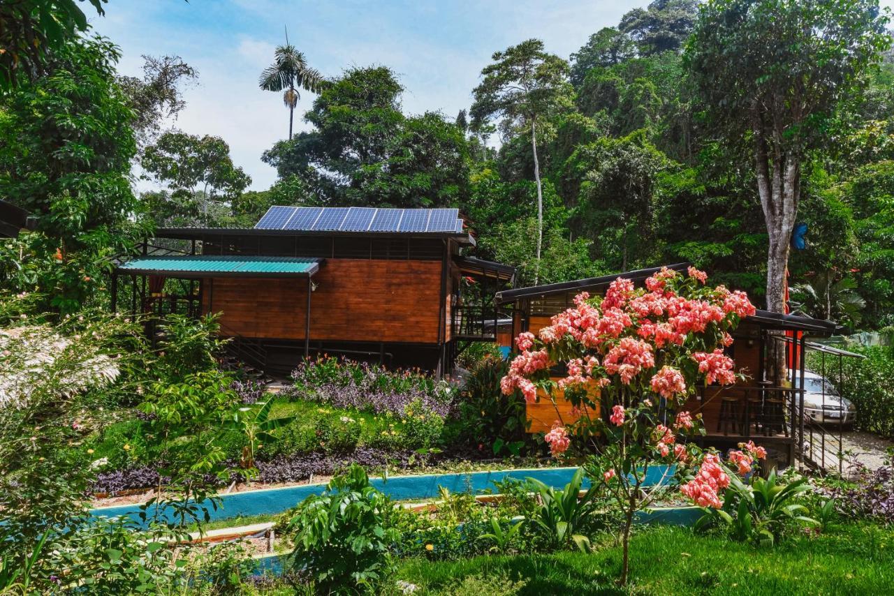 Selva Madre Eco-Sanctuary Aparthotel Cahuita Kültér fotó