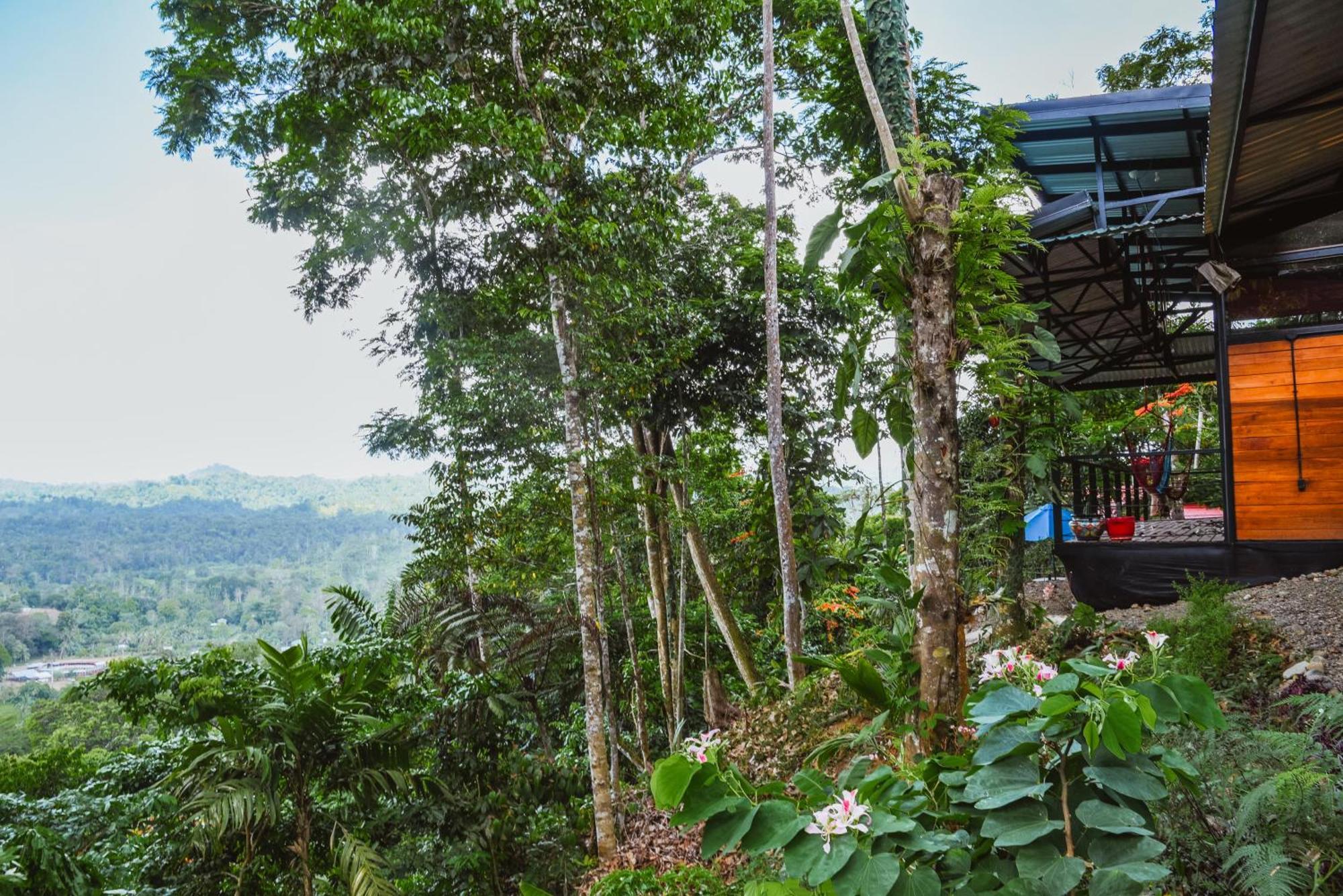 Selva Madre Eco-Sanctuary Aparthotel Cahuita Kültér fotó