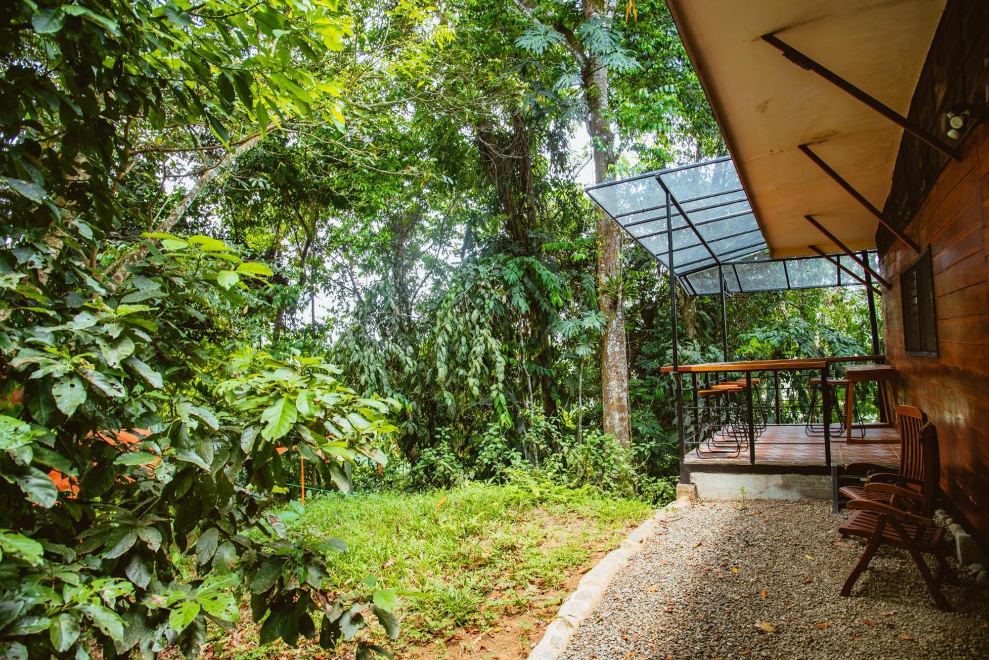 Selva Madre Eco-Sanctuary Aparthotel Cahuita Kültér fotó