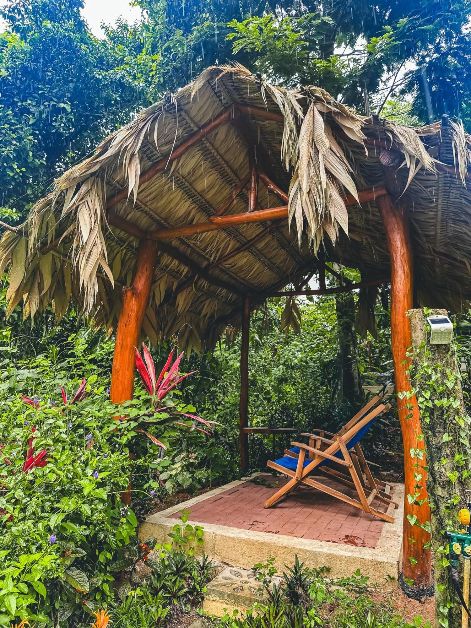 Selva Madre Eco-Sanctuary Aparthotel Cahuita Kültér fotó